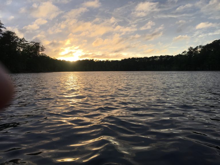 Airport Lake, Wakefield VA - bluecordfishermen