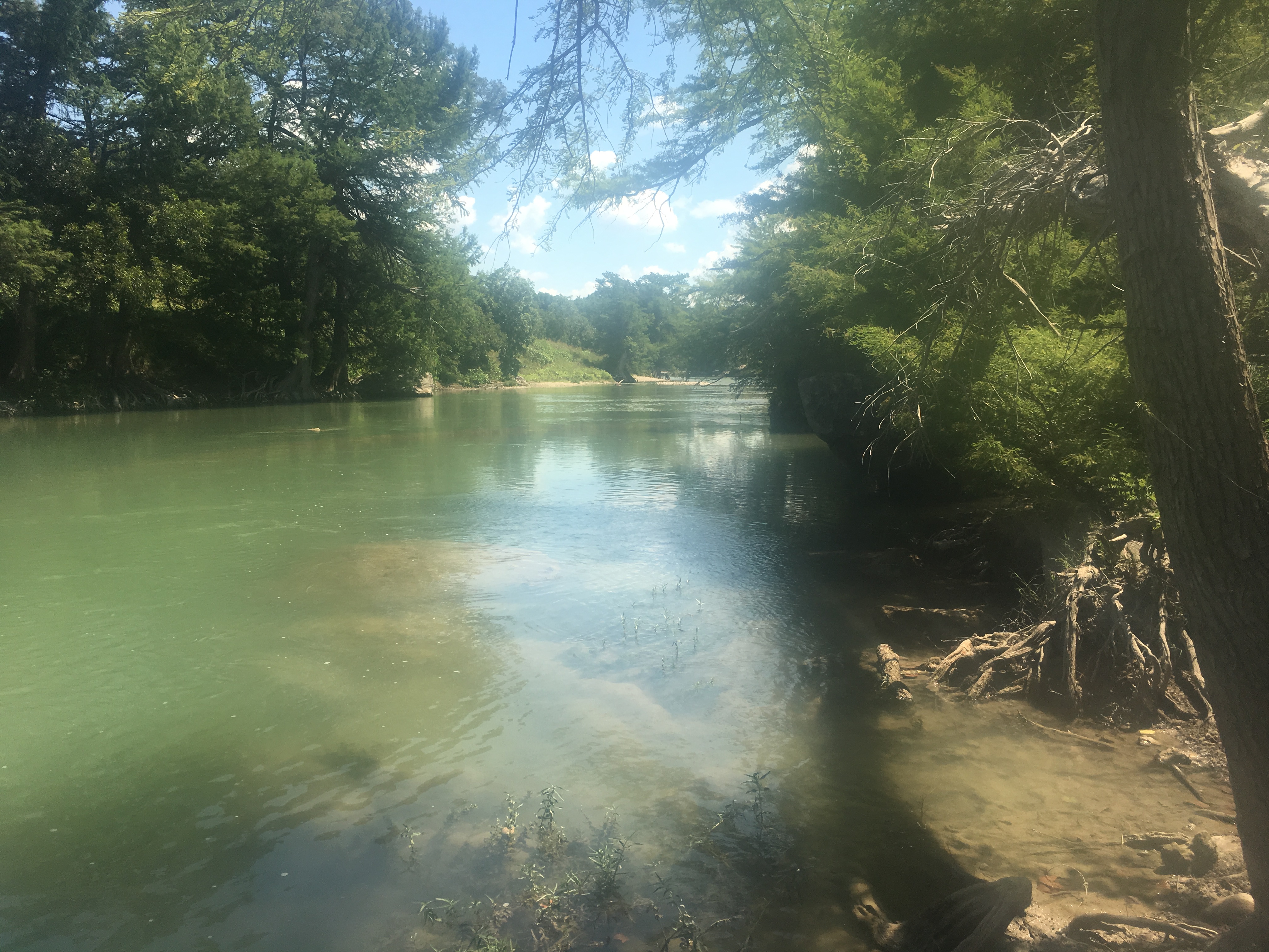 Getting Started with a Kayak - bluecordfishermen